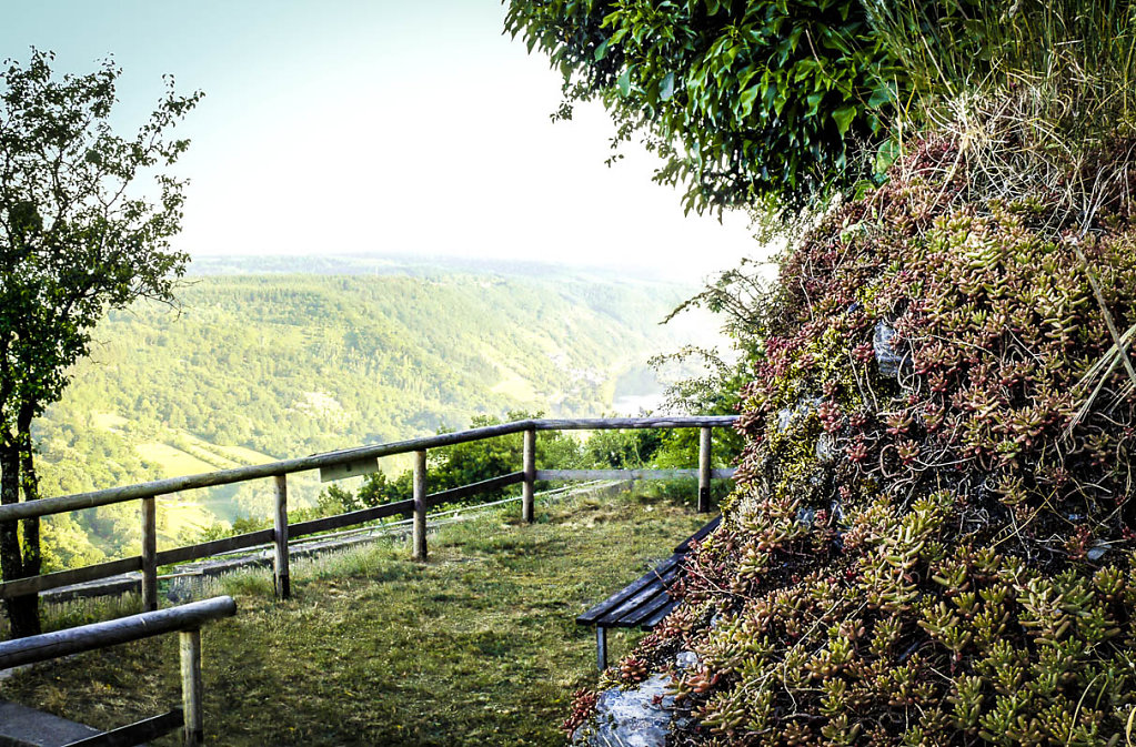 Loretta - Blick