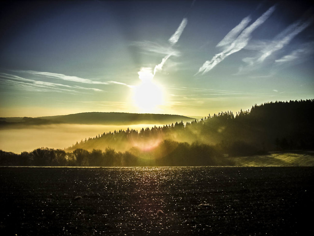 Morgennebel