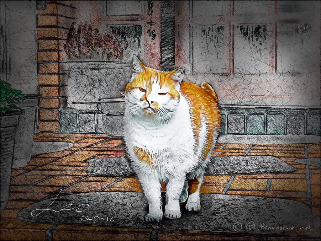Leo